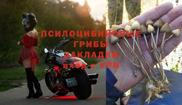 mdpv Беломорск