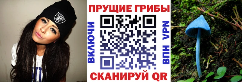 ОМГ ОМГ ссылка  Чухлома  Галлюциногенные грибы GOLDEN TEACHER 